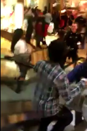 VIDEO: Blacks Riot at Fox Valley Mall in Aurora, Illinois
